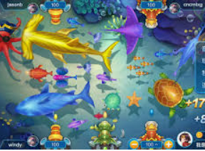 南宫app2024最新版